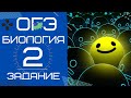 ОГЭ Биология 2020. Задание 2 Рохлов