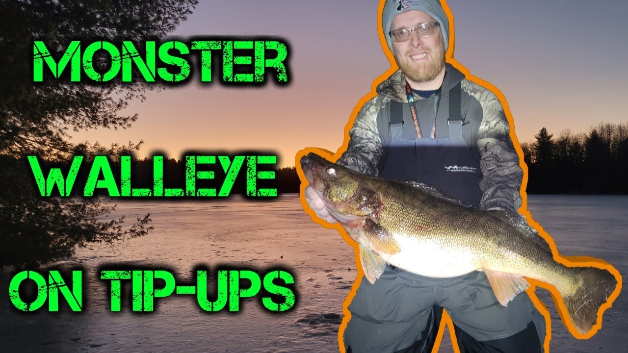Master Angler Walleye!! EPIC GIANT WALLEYE Part TWO icefishing 