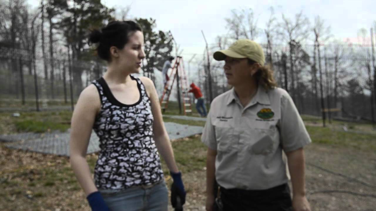 rescue rangers Noah and His Volunteers