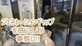 そんなことでジェネレーションギャップを感じるかっ！ゴールデンレトリバーティト