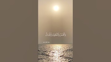 أَلَم تَرَ أَنَّ اللَّهَ يَسجُدُ لَهُ مَن فِي السَّماواتِ  | سورة الحج | ياسر الدوسري