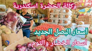 وكالة الحضرة|اسكندرية اليوم| أسعار الخضار|أسعار البصل والتوم