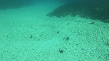 Douglas Shoal Sediment Sampling Panorama Video (2019) A6-1 GH010106   snake