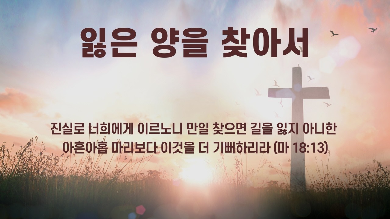 2026년 2월 25일 오늘의 말씀묵상