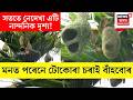 Bokakhatৰ জাপৰি পথাৰ গাঁৱলৈ এই দৃশ্য চাবলৈ আহে বহু পৰ্যটক