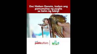 Doc Nielsen Donato, inalam ang pamumuhay ng pugita sa ilalim ng tubig! | Born to be Wild