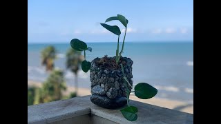 گلدان سنگی دست ساز باسنگ های کنارساحل/Handmade stone vase from the  beachside rocks