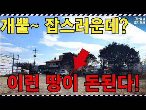 1조 원짜리 땅도 지목은 '잡'이었슈~ 당신이 몰랐던 잡종지의 미친 몸값
