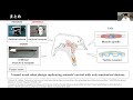 Electronics-free Analog Control Valve for Musculoskeletal Robots