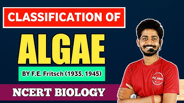 Classification Of Algae | Algae Classification By Fritsch | शैवाल का वर्गीकरण | By Bioaman Bhaiya