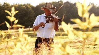 Robert Bittinger - The Fiddle
