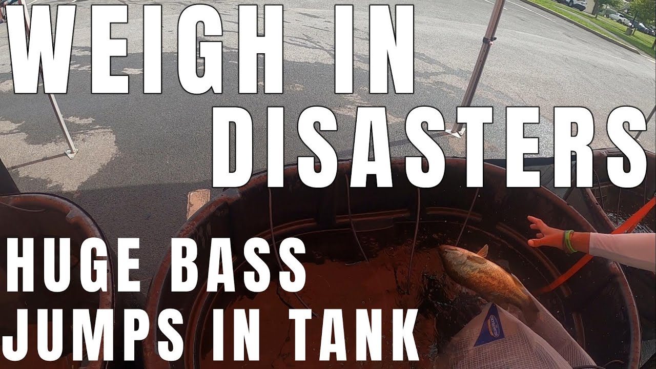 Weigh in Disasters – HUGE Bass Jumps In The Tank!
