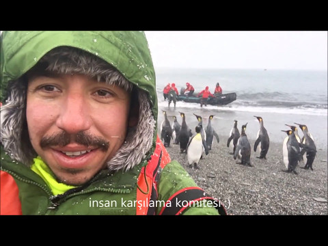 Video: Arktik'e Nasıl Gidilir