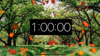 1 Hour Timer - Autumn Day