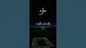 سورة الأعلى💛 #اكسبلور #المصحف #duet #الرحمن #دويتو #الطحان #الله #تيك_توك #القزابري #لايك #fyp