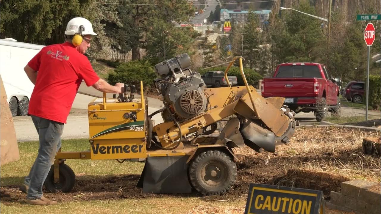 Pine Valley Tree Service Stump Grinding and Removal Fast, Affordable