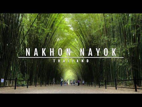 Nakhon Nayok Bamboo Forest [1-day Adventure] - Thailand ᴴᴰ ● นครนายก⎮Thailand Travel Vlog