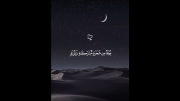 اكتب شيء تؤجر عليه 😴❤️ الله نور السماوات والأرض | القارئ ماهر المعيقلي