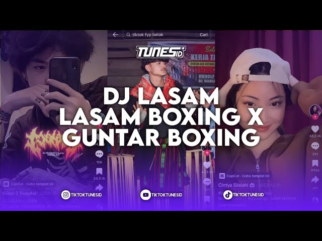 DJ LASAM LASAM KARO BOXING MIX REMIX BY JULTIRA SEMBIRING X DJ GUNTAR BOXING MIX class=
