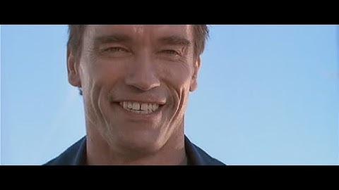 Terminator 2: Dark Fate (Sarah Connor