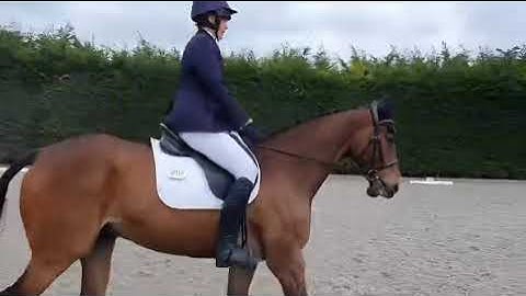 Second dressage outing - Intro 3 (2024) - 70.68% - 18th May 2025