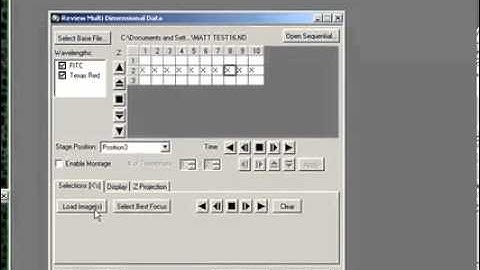 Reviewing Data in Metamorph Software