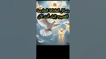 رسالة الملائكة الحارسة لك لايك بشري لك رسائل شفاء الروح زواج رسالة لقلبك 