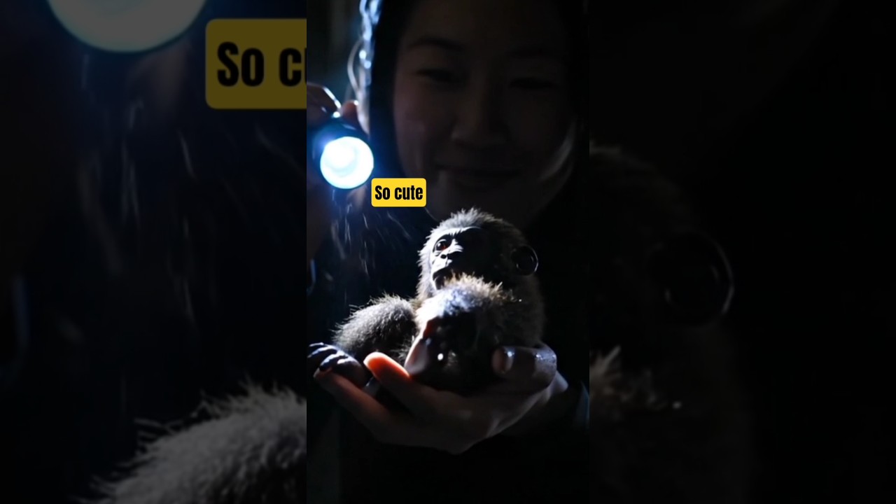 Mysterious Palm-Sized Bigfoot Creature Discovered in Dark Cave 