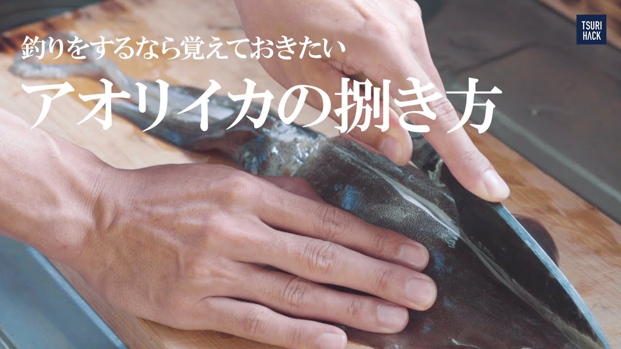 アオリイカのさばき方 超簡単 誰でもできる魚の捌き方 Youtube