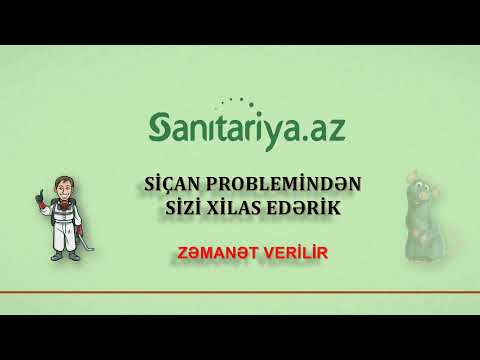 Video: Gəmiricilərə dəyən zərər sığortaya aiddirmi?