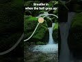 Calm Your Mind with 5-5 Breathing 🌿 #shorts #viral