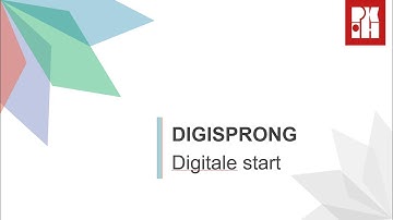 PIKOH - Digisprong - Digitale start - Snelcursus