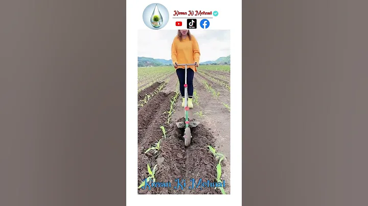 Manual Hand Pulling Plough / Plow Garden Tools Hiller Ditcher Cultivator Agricultural Farming Tool - DayDayNews