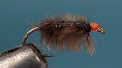 Ray Charles Sow Bug