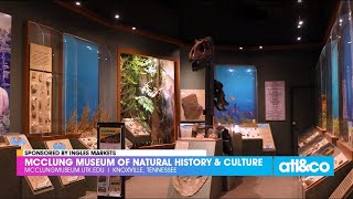 Plantofthemonth: Acorn  McClung Museum of Natural History & Culture