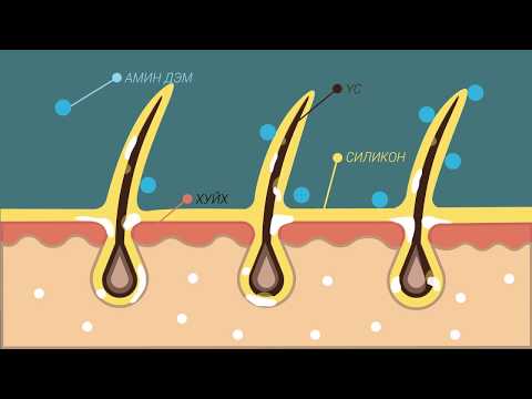 Видео: Яагаад үс зүүдэлж байна вэ?