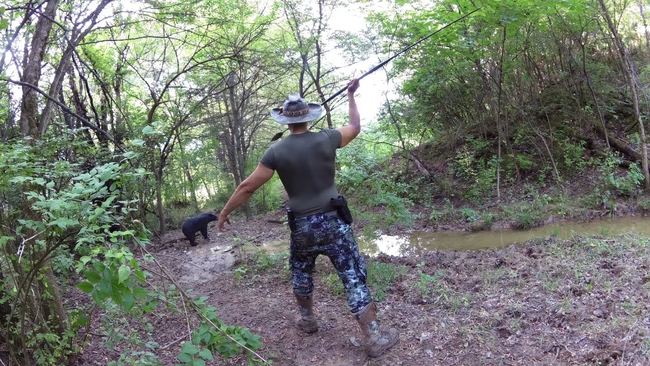 TGO Spear Hunting Legality and History! YouTube