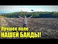 ВСЕ БЫЛИ В ШОКЕ! Толпой по ЛУЧШИМ местам! Поиск монет и древности. Коп осень 2019