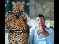 lion with his son #lion #youtubeshorts #funny #king of forest