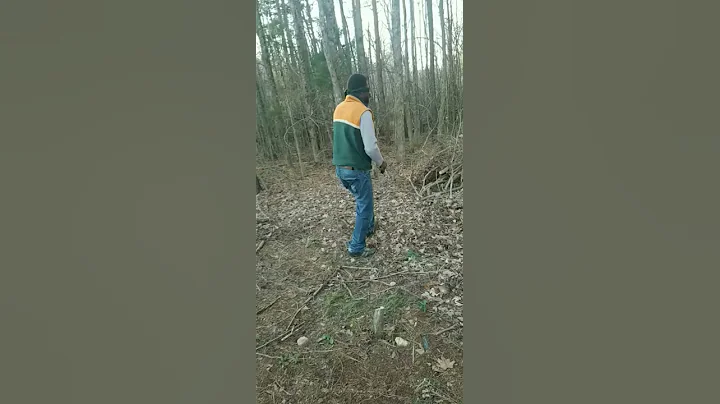 bird box two and a half
