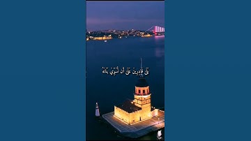 واتس أب قرآن كريم القارئ ياسر الدوسري من سورة (القيامة)