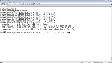 MULTINETTED AND SECONDARY INTERFACES