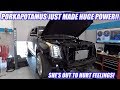 Supercharged Escalade Hits The Dyno!! Porkapotamus Is The Ultimate Troll Machine!!