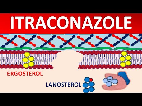 Itraconazole - Mechanism, side effects, precautions & uses