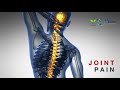 Renowned Joint Replacement Surgeon in Amritsar | Dr. Manuj Wadhwa