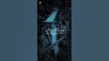 #القرآن_الكريم #تلاوة_خاشعة #راحة_نفسية #capcut #fypシ