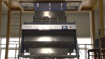 rice color sorter machine manufacture in china