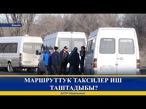 Video: Маршруттук таксилерге кайдан арызданса болот