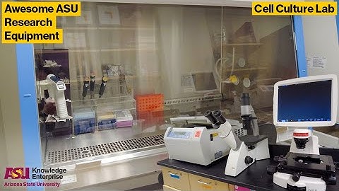 ASU Core Facilities Equipment Showcase: Cell Culture Lab