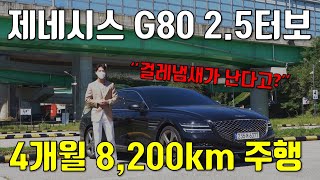 제네시스 G80 오너가 말하는 4개월 8,200km 주행후기, 치명적인 문제발견? [제네시스 G80 냄새]